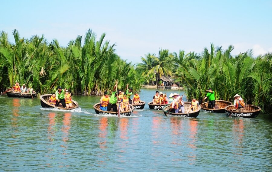 bay-mau-water-coconut forest