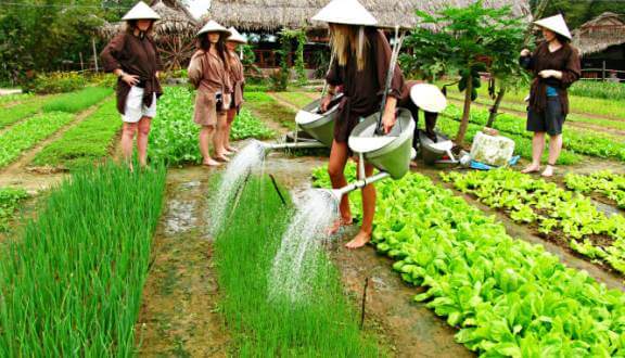 tra que village hoi an